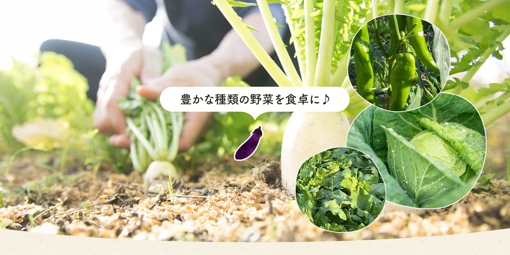 豊かな種類の野菜を食卓に♪